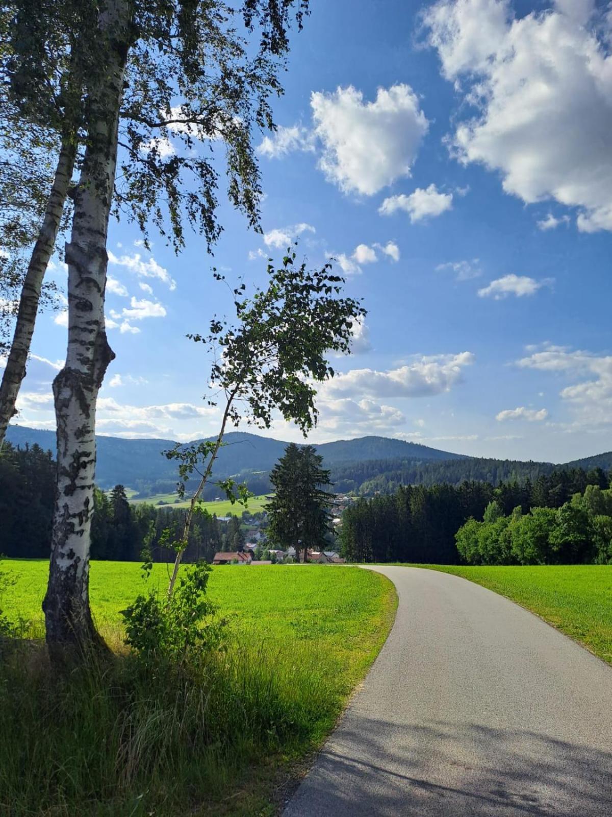 Ferienhaus am Bach Achslach Exterior foto